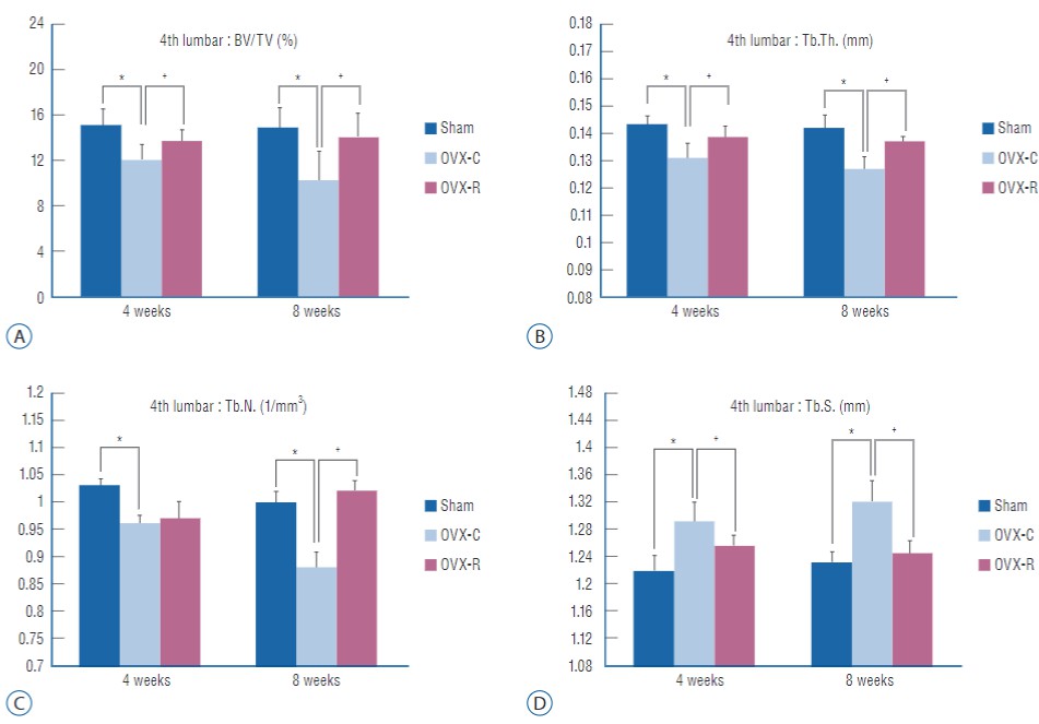 Istomorphometric analyses of 4th lumbar vertebrae in the sham, OVX-C and OVX-R group: BV/TV (A), Tb.Th. (B), Tb.N. (C), and Tb.S. (D)