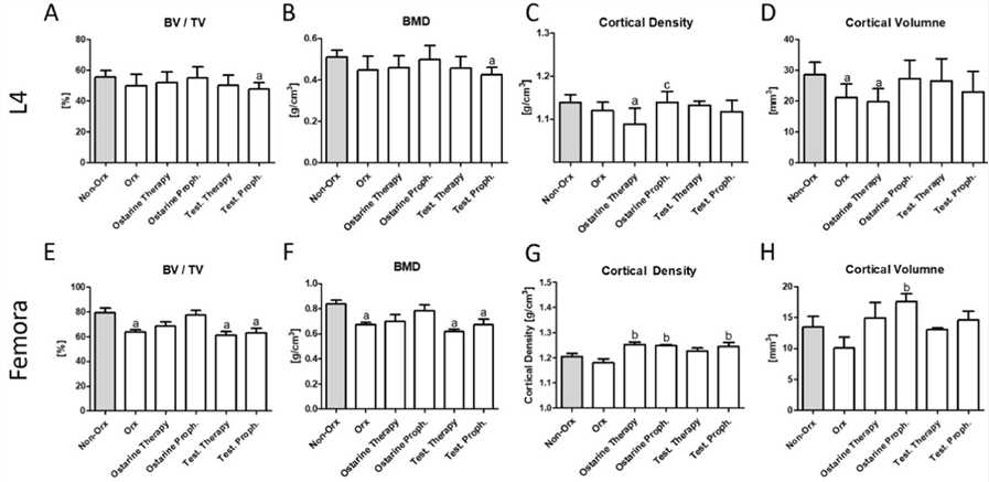 3D micro-CT analysis. 3D analysis of L4 (A–D) and femur (E–H) performed after 18 weeks in Non-Orx rats and Orx rats either untreated or treated with ostarine or testosterone.