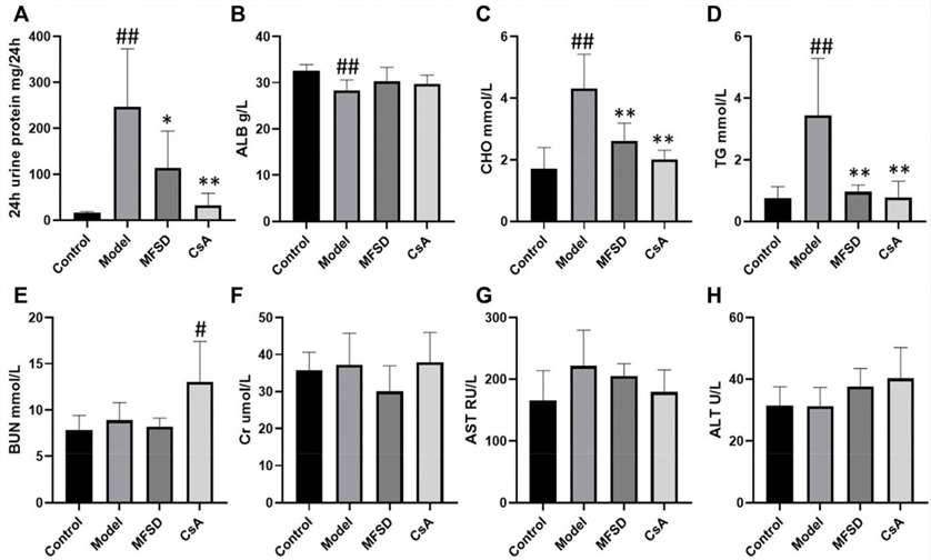 Therapeutic impact of MFSD on renal and serum biochemical indicators in passive heymann nephritis (PHN) rats.