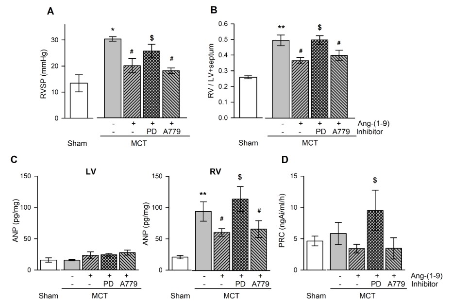 Graphical representation showcasing the influence of Ang-(1-9) on ventricular pressure, body weight, and plasma hormone concentrations in rats treated with monocrotaline (MCT).