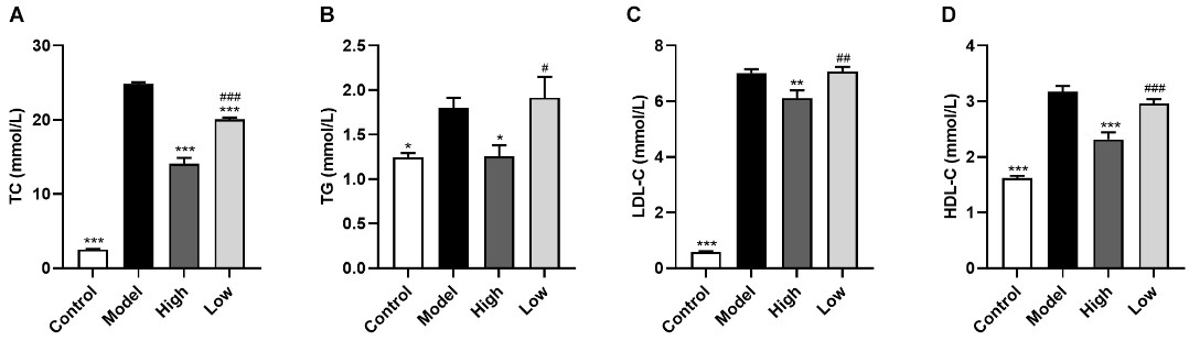 Schematic diagram of berberine's impact on serum lipid profiles in high-fat diet-fed ApoE-/- mice, showing levels of total cholesterol, triglycerides, low-density lipoprotein cholesterol, and high-density lipoprotein cholesterol.