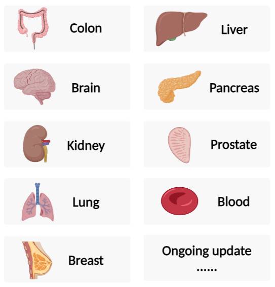 Available orthotopic models in Creative Bioarray.