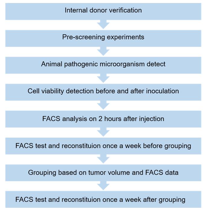 Workflow of donor screening and QC for human PBMC platform.