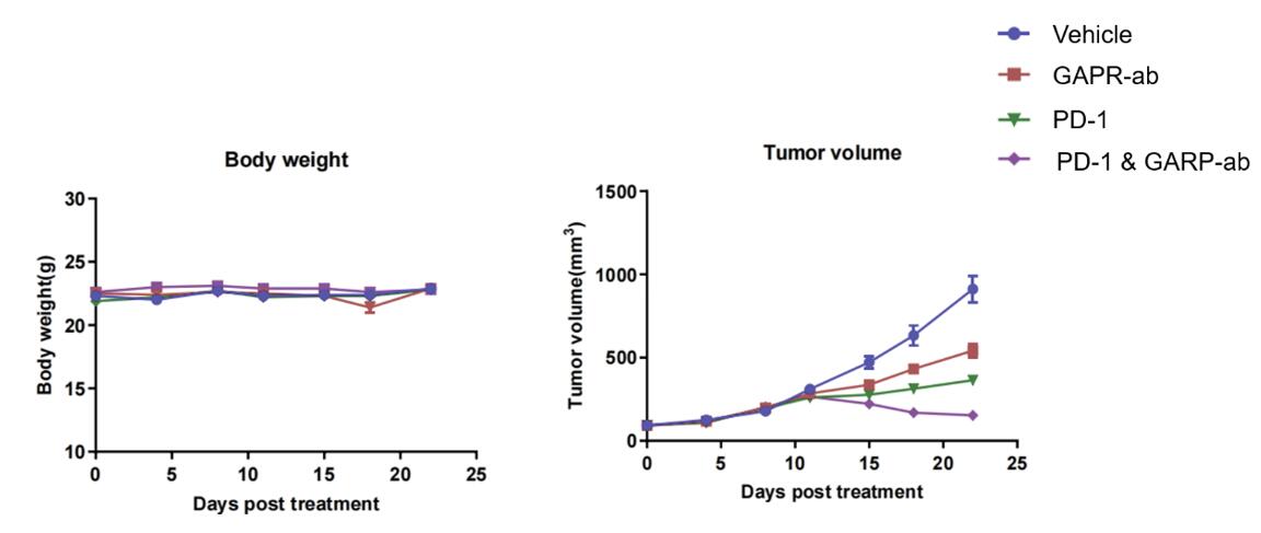 Effect of immune checkpoint inhibitors on weight and tumor in humanized PBMC mice.