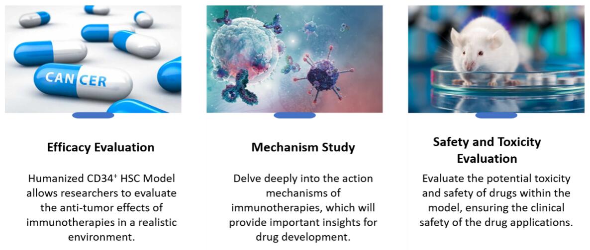 Advantages of humanized PBMC mouse models in Creative Bioarray: bridging translational gap, enhancing immunotherapeutic testing.