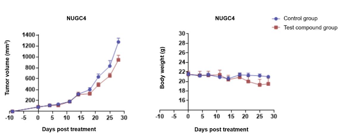 Chart illustrating effects of test compound on tumor volume and body weight in humanized CD34+ HSC mice with NUGC4 cell implants.