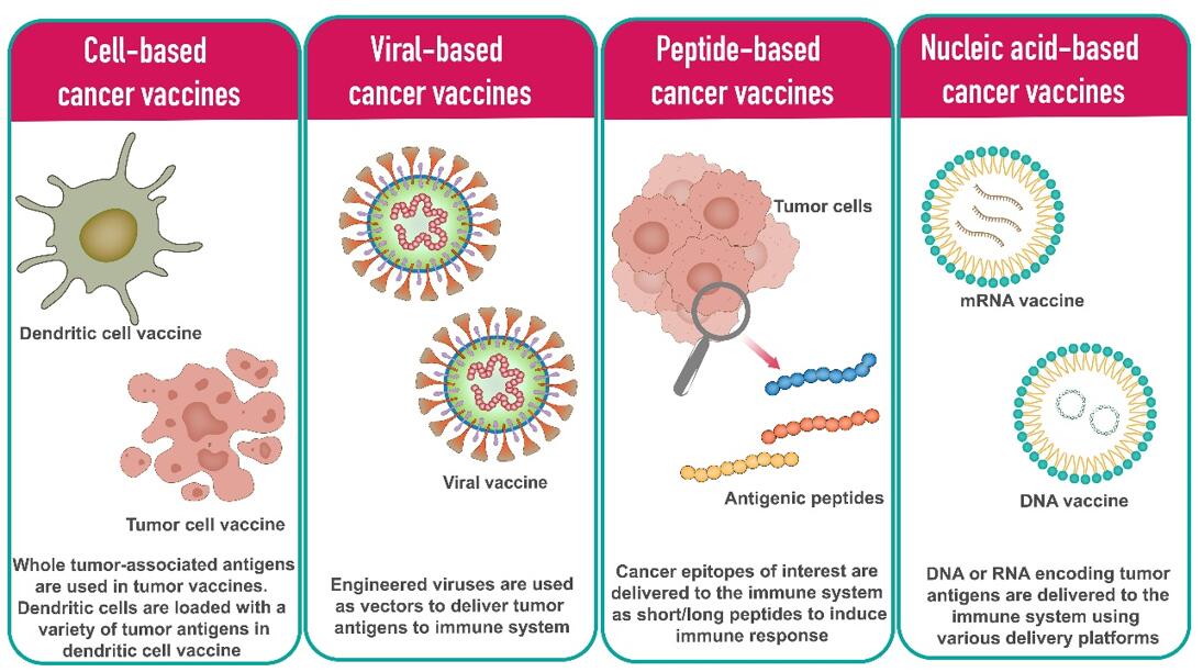 Overview of various cancer vaccine platforms.