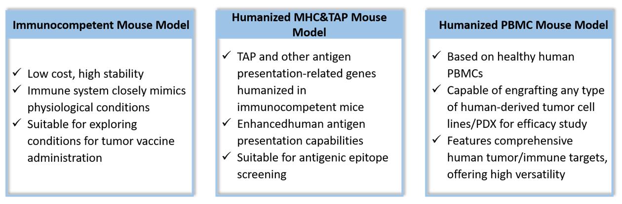 Advantages and application of cancer vaccine evaluation platform from Creative Bioarray.