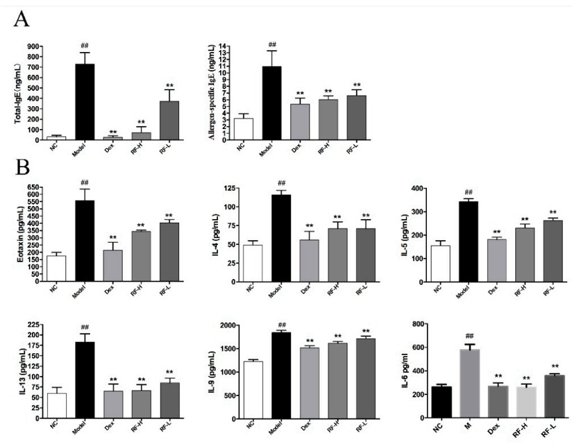 The effects of Renifolin F on cytokine production in serum and BALF. (A) The levels of total IgE and allergen-specific IgE in serum. (B) The levels of IL-4, IL-5, IL-13, IL-9 and IL-6 in BALF. Normal control, saline-induced mice only. Model, OVA-induced mice. Dex, OVA-induced mice treated with Dex (1.0 mg/kg). RF-H, OVA-induced mice treated with Renifolin F (3.0 mg/kg). RF-L, OVA-induced mice treated with Renifolin F (1.5 mg/kg).