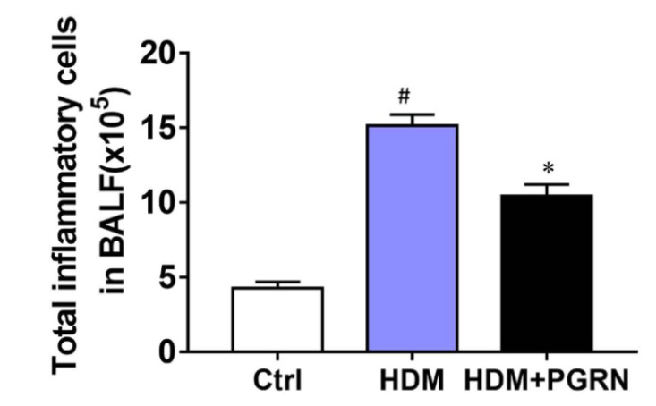 The counts of total inflammatory cells in BALF from mice.