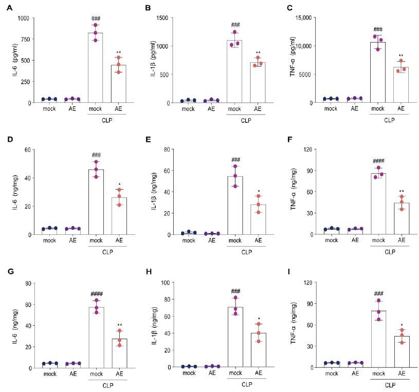 Cecum Ligation and Puncture (CLP)-Induced Sepsis Model | Creative Bioarray