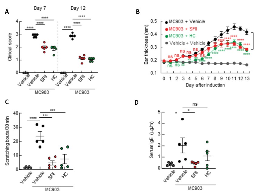 (A) Clinical scores of MC903-induced ear skin inflammation of BALB/c mice treated with vehicle, SFII, or HC on days 7 and 12. (B) Measurement of ear swelling in BALB/c mice treated with MC903 plus vehicle, SFII, or HC using a digital caliper. (C) Scratching bouts of BALB/c mice treated with MC903 plus vehicle, SFII, or HC on day 13. (D) ELISA analysis of serum IgE levels on day 13