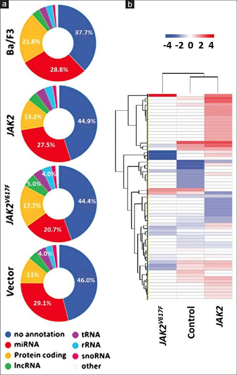 The Janus kinase 617 codon mutation (JAK2V617F) affects noncoding RNA.