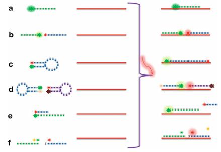 ( a ) permanently on probes; ( b ) binary FRET probes; ( c ) hairpin or molecular beacon probes; ( d ) dual molecular beacon coupled with quenchers; ( e ) quencher strand-displacement probes; and ( f ) autoligation probes coupled to a quencher.