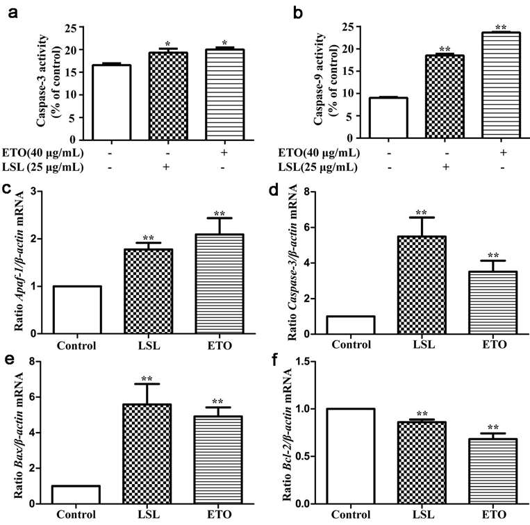 Evaluation of Caspase-3 and Caspase-9 enzyme activities (a, b) and the expression levels of associated genes (c-f) in HepG2 cells following treatment with LSL and etoposide.