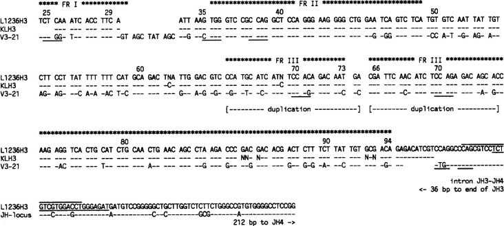 VH3 rearrangement detected in cell line L1236 (L1236H3) is compared with VH3 sequences amplified from single H-RS cells (KLH3), the V3-21 germline gene, and part of the intron between JH3 and JH4.