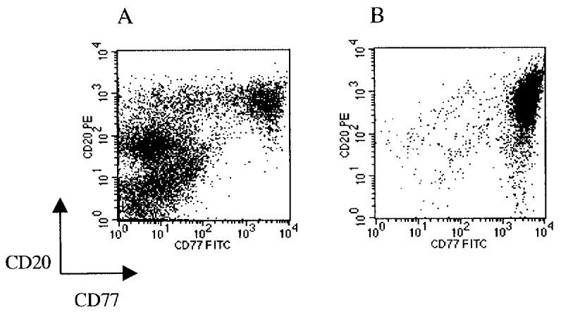 The purity is higher than 95%. The figure shows the result for 1 of 8 tonsils used for the SAGE profile.