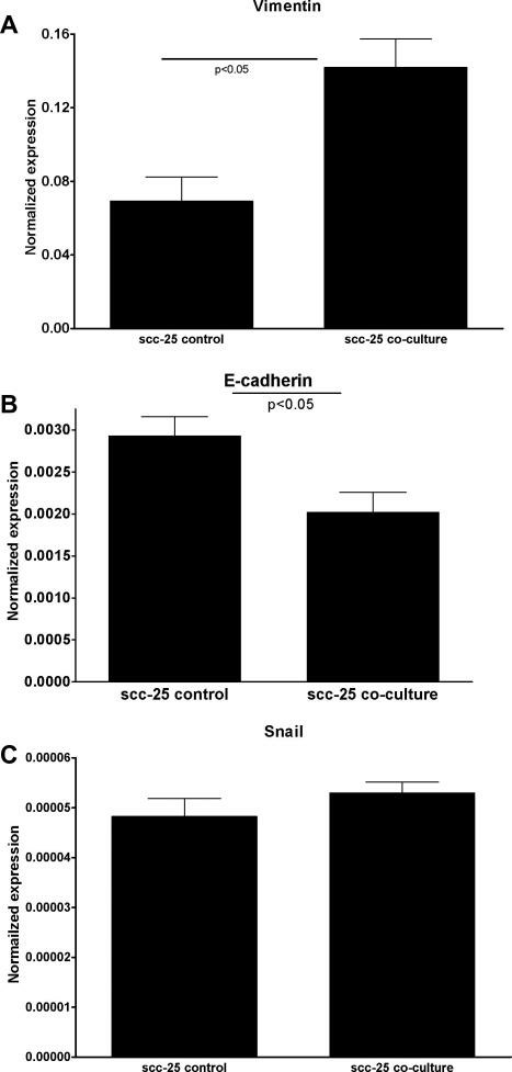 EMT-related gene expression changes in co-cultured SCC-25 cells.