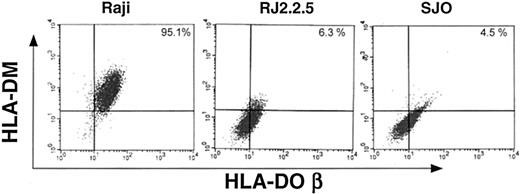 HLA-DOβ protein is not expressed in CIITA- and RFX5-deficient cell lines