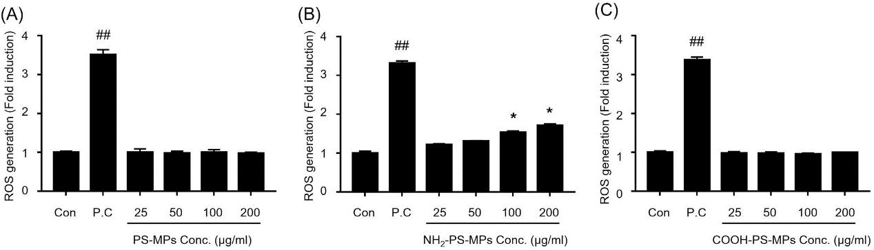 Detection of reactive oxygen species (ROS) produced by different PS-MPs by DCF-DA method.