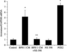 Real-time RT-PCR analysis of aromatase mRNA expression in prostatic stromal cells.