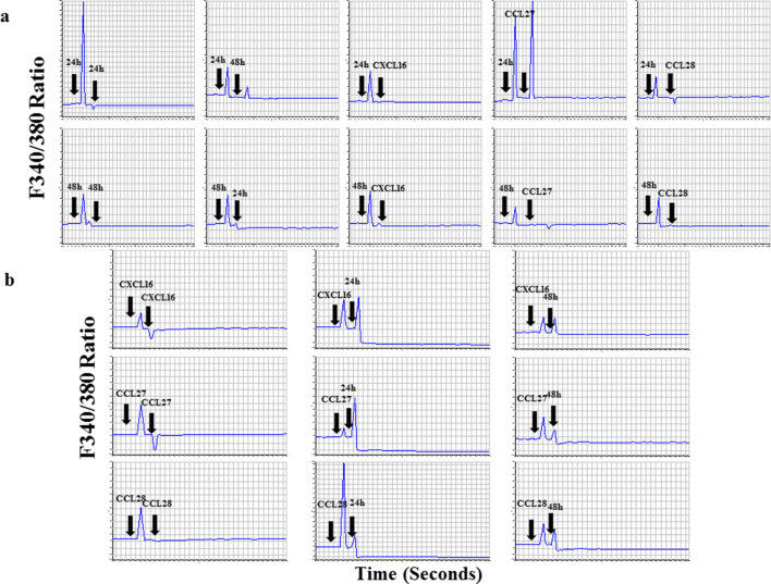 a Fura-2-AM-labeled NK92 cells were incubated with 24 h or 48 h undiluted supernatants collected from HCT-116 cells before the addition of 24 h supernatants, 48 h supernatants, CXCL16, CCL27, or CCL28. b Reciprocal experiments were performed where recombinant chemokines (CXCL16, CCL27, and CCL28) were added before the respective chemokines or the supernatants were added. Calcium mobilization was determined by measuring the ratio of F340/380.