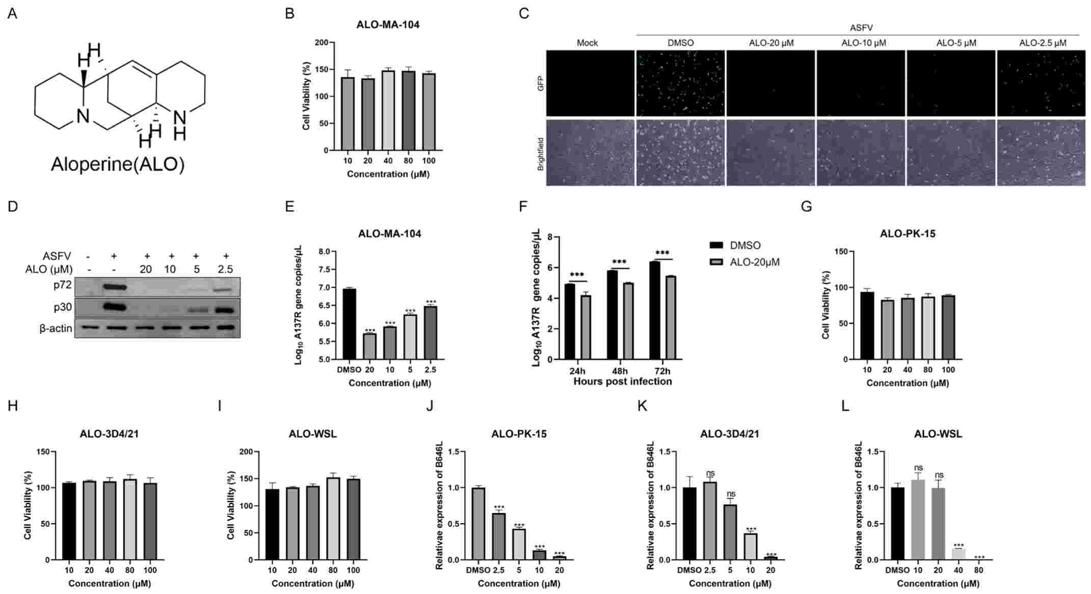 The cytotoxic effects and antiviral activity against ASFV of ALO were assessed using African green monkey cell line MA-104.