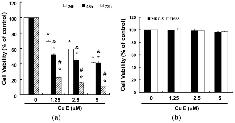 (a) An in vitro study was initiated by treating the SAS cells with increasing doses of CuE (0, 1.25, 2.5, and 5 μM) for 24 to 72 h; and (b) MRC-5 and HS68 cells treated with CuE for 24 h. The survival of CuE-treated cells was then measured using the MTT method.