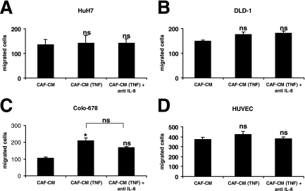 Effect of TNF-α on chemotactic properties of CAFs. In the CM of nonstimulated CAFs, TNF-α was added after the incubation time to exclude that differences in migration were caused by the presence of exogenous TNF-α. The effect of IL-8 blockage was tested by preincubation with an IL-8-neutralizing antibody (10 μg/ml).