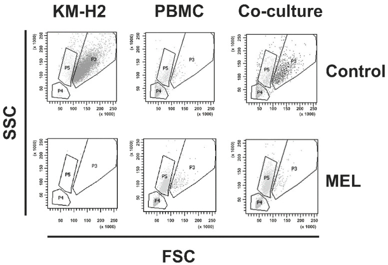 KM-H2 cells, PBMC, and co-cultures of KM-H2 cells and PBMC were incubated with 1.5 µM MEL or medium without MEL. Thereafter, cells were stained with propidium iodide and analyzed by flow cytometry. Presented are representative dot blots of PI-negative living cells.