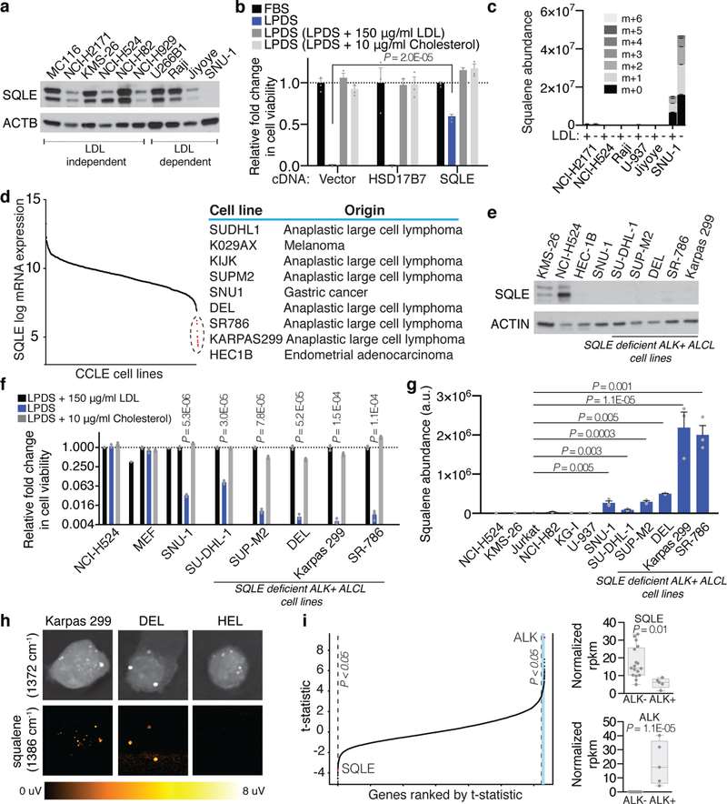 ALK-positive anaplastic large cell lymphomas are auxotrophic for cholesterol due to lack of SQLE expression.