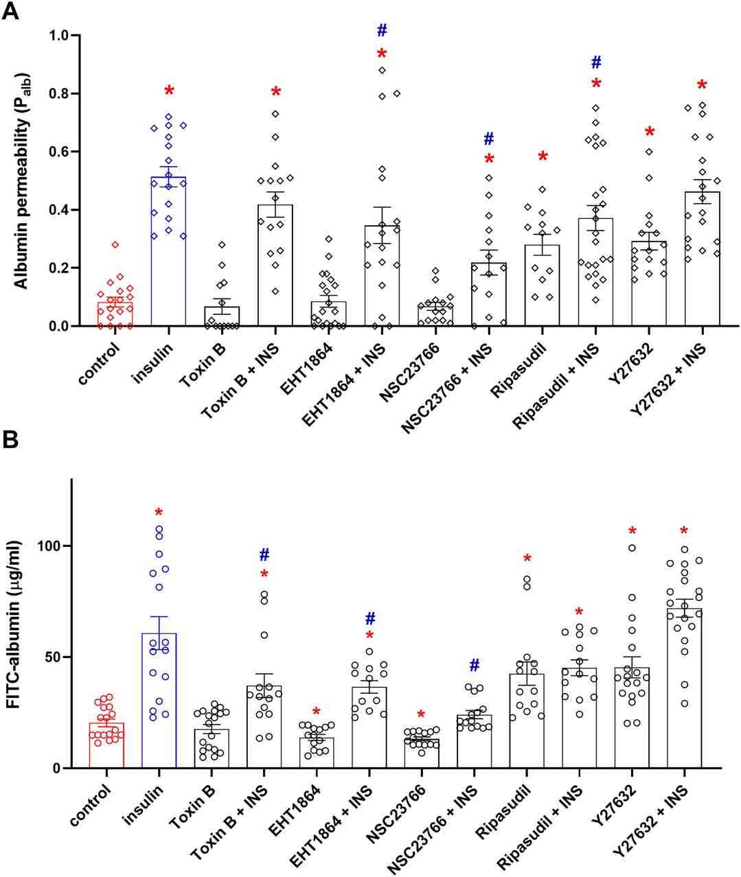 The permeability of the glomerular filtration barrier is controlled by Rho family GTPases.