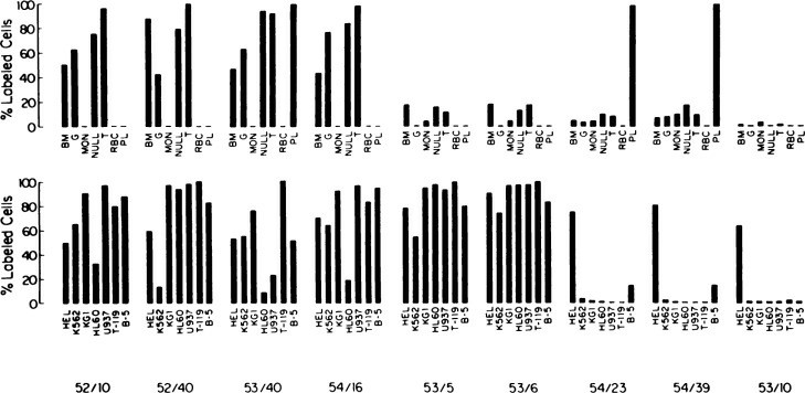 Reactivity of anti-HEL cell monoclonal antibodies with normal cells (upper panel) and cells of hemopoietic cell lines (lower panel).