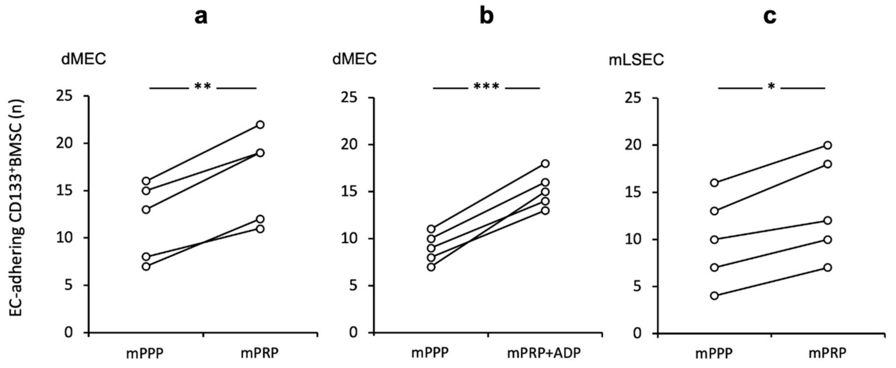 In a murine shear-stress model, enhanced adherence of CD133-positive bone marrow stem cells (CD133BMSCs) to the endothelium occurs following co-incubation with platelets. The attachment of CD133BMSCs to mouse endothelial cells was examined in the presence of mouse platelet-rich plasma (mPRP) under various conditions, comparing the control and treatment groups simultaneously.