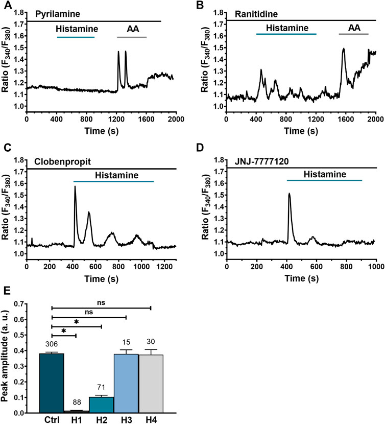 In WI-38 human lung fibroblasts, histamine-triggered calcium (Ca2+) signals do not involve Gαi/o activation but necessitate the activation of phospholipase C (PLC) and the release of Ca2+ from the endoplasmic reticulum (ER).