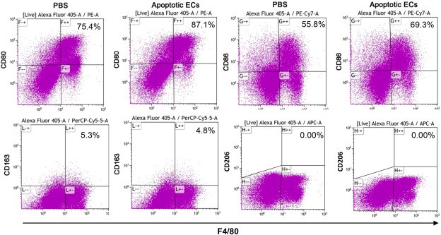 Exposure to apoptotic dermal endothelial cells alters macrophage phenotypes in vivo.