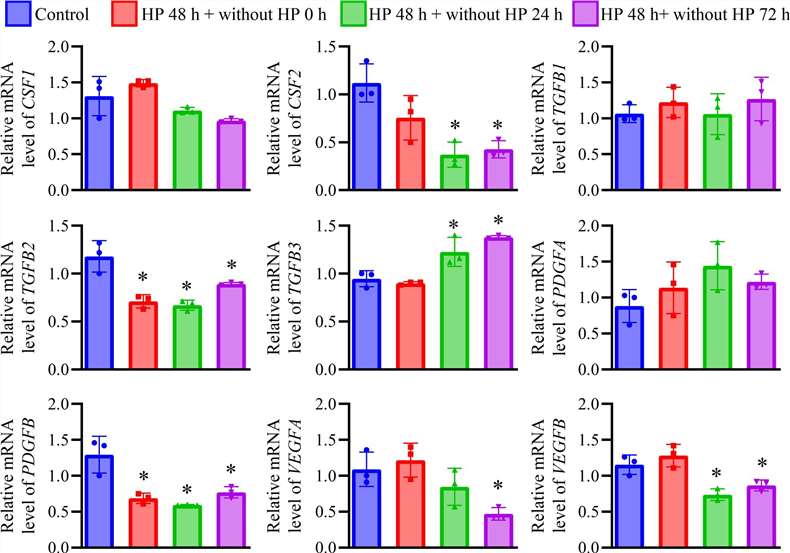 Long-term exposure to 100 cmH2O HP treatment over 48 hours led to significant alterations in growth factor expression in HREpCs.