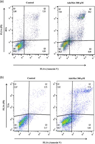 Examples of dot plots showing Annexin V-FITC and PI-stained head and neck cancer cells.