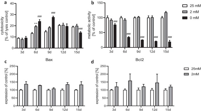 Investigating the impact of long-term glucose deprivation on cytotoxicity (a) and metabolic activity (b) in cultured primary rat astrocytes, with apoptotic markers Bax (c) and Bcl2 (d) gene expression levels showing no notable differences.