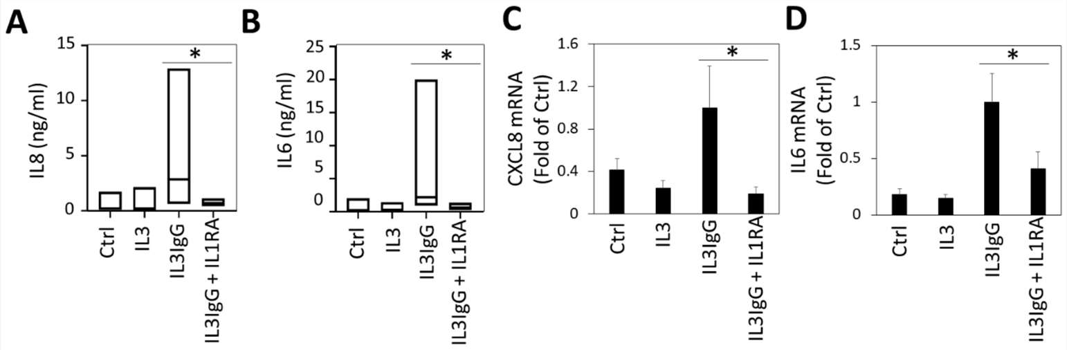 Human bronchial fibroblasts need IL1 receptor signaling to express and secrete Interleukin 6 (IL6) and IL8 when stimulated by eosinophil-derived soluble mediators.