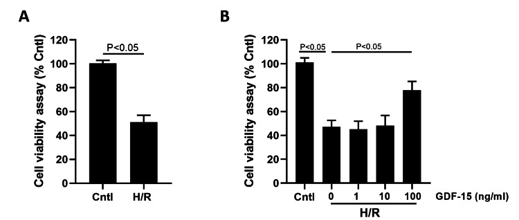 GDF-15 enhanced the viability of HPVECs suppressed by hypoxia/reoxygenation (H/R) conditions.