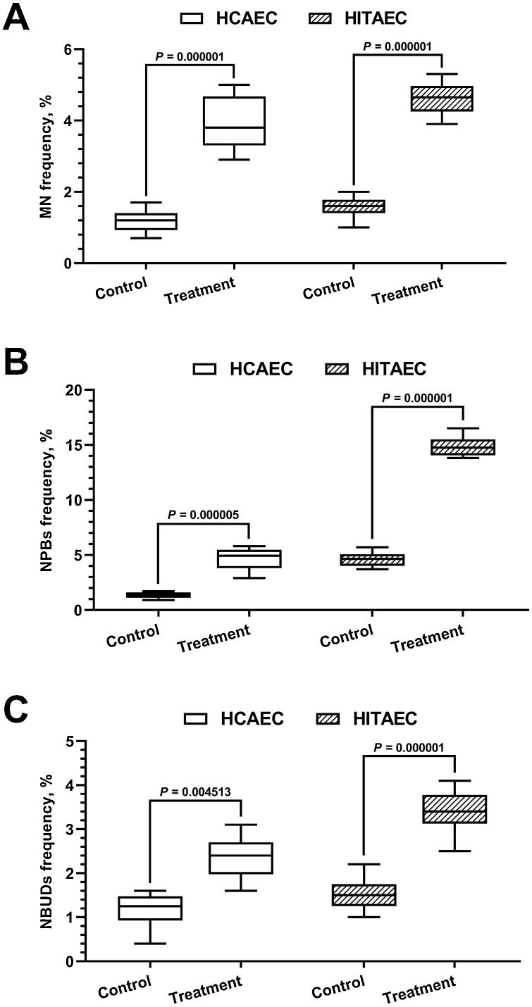 Frequency of BN cells exhibiting micronuclei (MN) formation, nucleoplasmic bridges (NPBs), and nuclear buds (NBUDs) in both HCAEC and HITAEC when exposed to 500 ng/mL MMC.