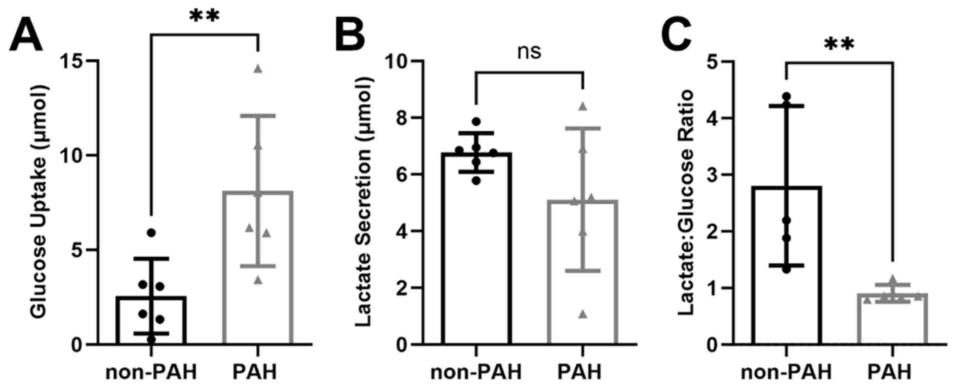 PAH HPAECs demonstrated higher glucose consumption and lower lactate production than their non-PAH counterparts.