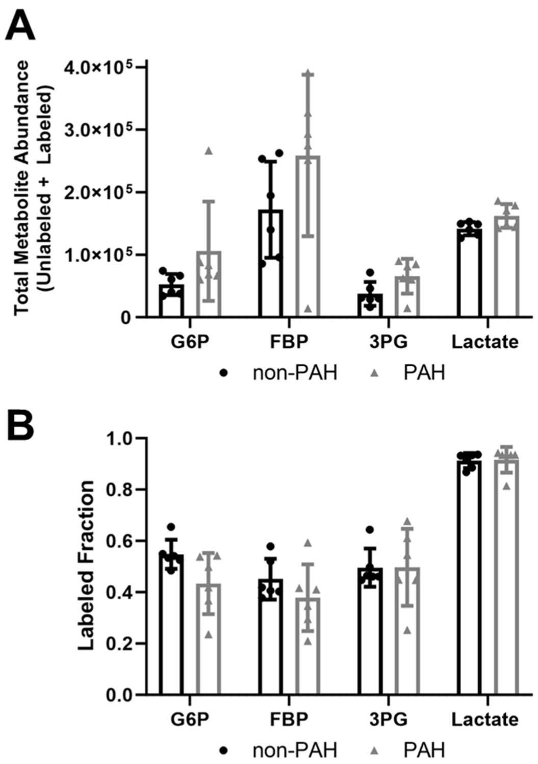 The overall abundance of glycolytic metabolites was greater in PAH HPAECs compared to non-PAH HPAECs, although the proportion of labeled metabolites remained unchanged.