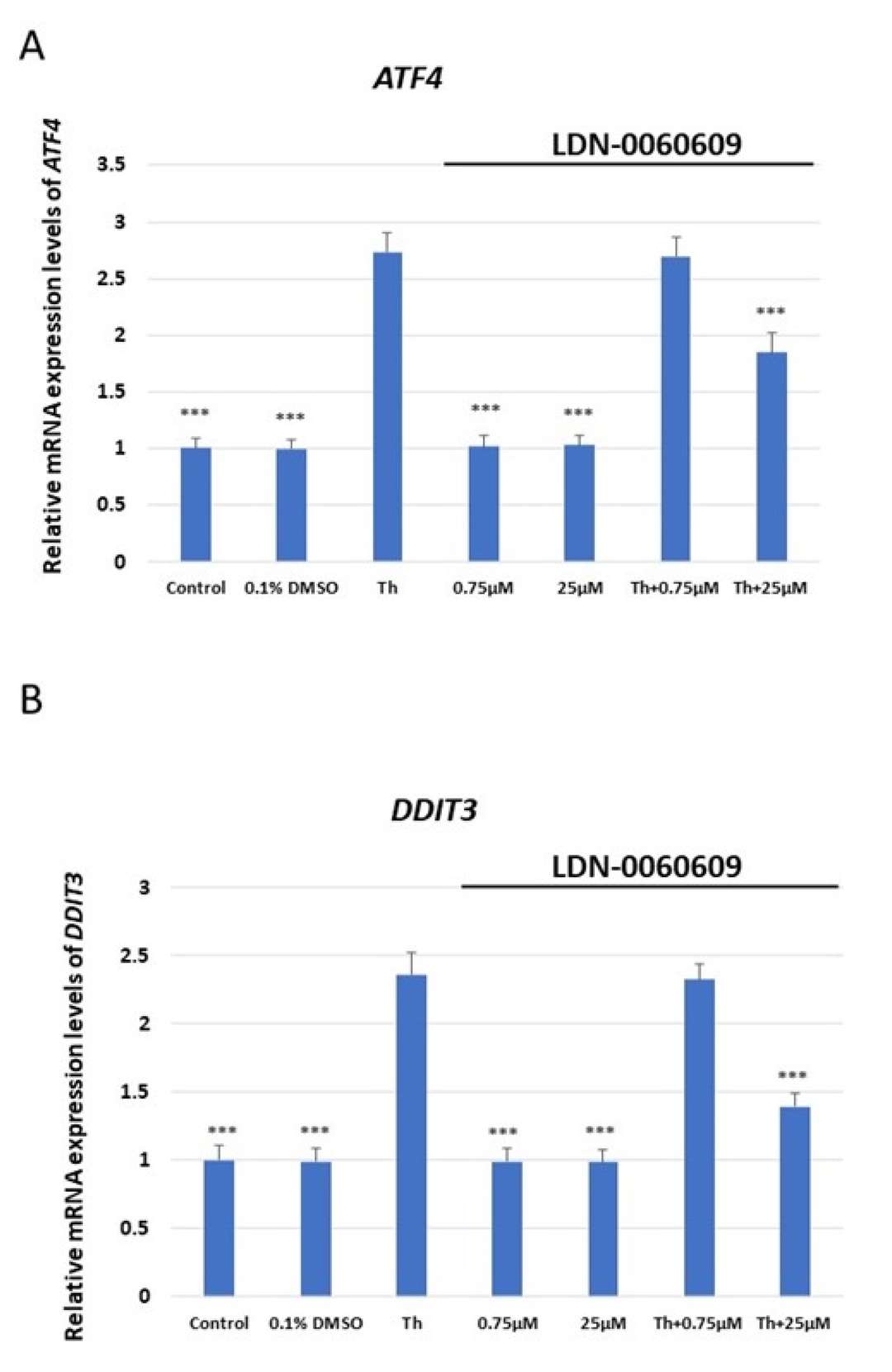 Assessment of mRNA expression levels of apoptosis-related genes associated with ER stress in HRA cells: (A) ATF4, (B) DDIT3, (C) BAX, (D) Bcl-2.