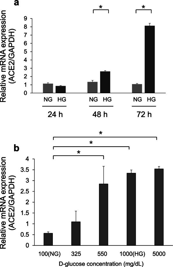 a Calu-3 cells were treated with normal D-glucose (NG, 100 mg/dL) or high D-glucose (HG, 1000 mg/dL) for 24, 48, and 72 h. b Calu-3 cells were treated with 100-5000 mg/dL D-glucose concentrations. ACE2 gene expression was normalized relative to the expression of glyceraldehyde-3-phosphate dehydrogenase (GAPDH).