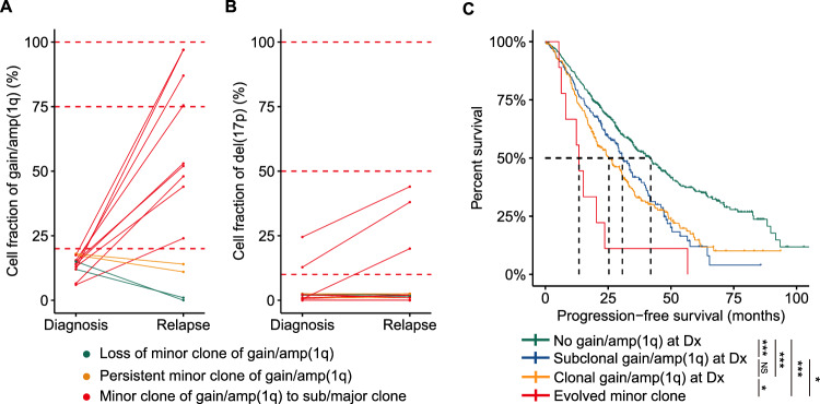 (A) The change in cell fraction of gain/amp(1q) between two time points. (B) The change in cell fraction of del(17p) between two-time points. (C) Kaplan-Meier analysis of PFS by different gain/amp(1q) clonal sizes at diagnosis and evolved minor clone between two-time points.