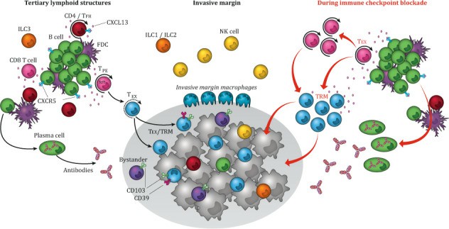 Several common drug delivery systems in scientific research.