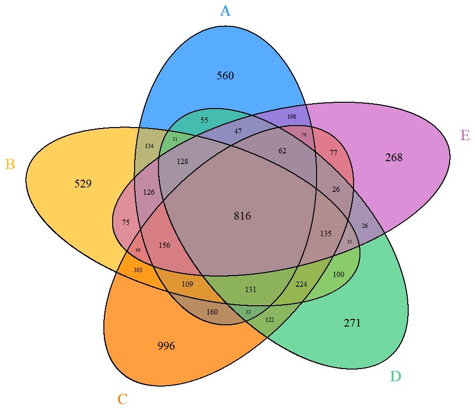 A Venn diagram illustrates the overlap of differentially expressed genes shared among various batches of human hepatocytes cultured in vitro upon exposure to thioacetamide.