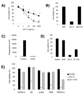 A) HPB-ALL cells were incubated with 0, 1, 10, 100, or 1,000 ng/ml of CH-11 in the presence (closed square) and absence (closed diamond) of 20 µM zVAD-fmk for 24 hr. B) HPB-ALL cells were incubated with or without 1,000 ng/ml of ZB4 for 1 hr. C) The activity of caspase-3 for HPB-ALL cell extracts in the presence (black bars) or absence (white bars) of 1,000 ng/ml CH-11 for 2 hr was determined as the fluorescence of AFC by a fluorescence plate reader. D) HPB-ALL cells were incubated with 100 µM zIETD-fmk (IETD), 1,000 ng/ml CH-11, or zIETD-fmk and CH-11 (IECH) for 24 hr. E) SKW6.4, H9, Jurkat, CEM, and HPB-ALL cells were incubated with 20 µM zVAD-fmk (ZVAD), 1,000 ng/ml CH-11, or zVAD-fmk and CH-11 (ZVCH) for 24 hr.